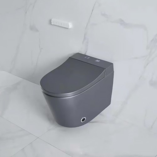 Modern Grey Wall Hung Toilet