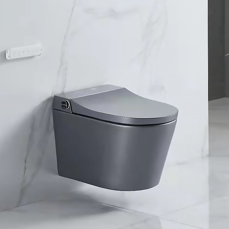 Modern Grey Wall Hung Toilet