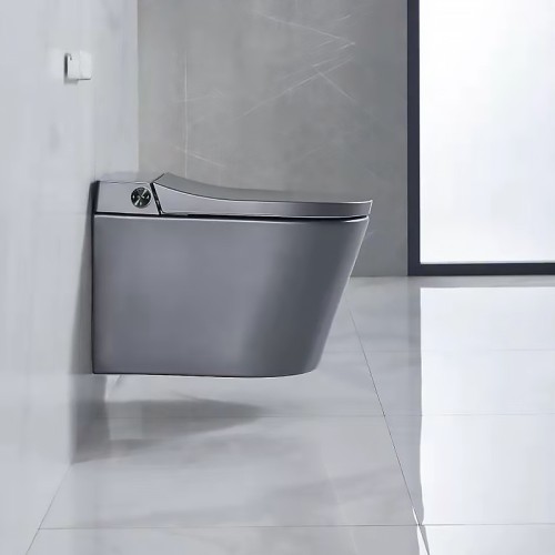 Modern Grey Wall Hung Toilet