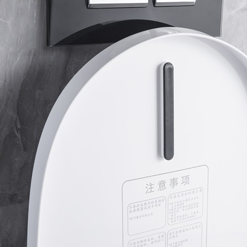 Modern Smart One Piece Dual Flush Toilet