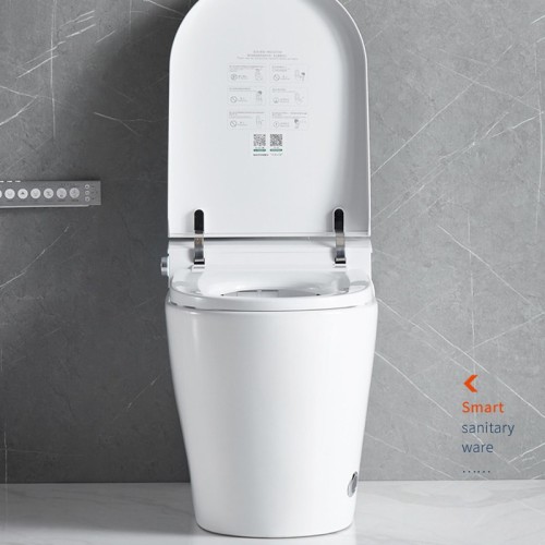 Modern Bathroom Automatic Smart Toilet