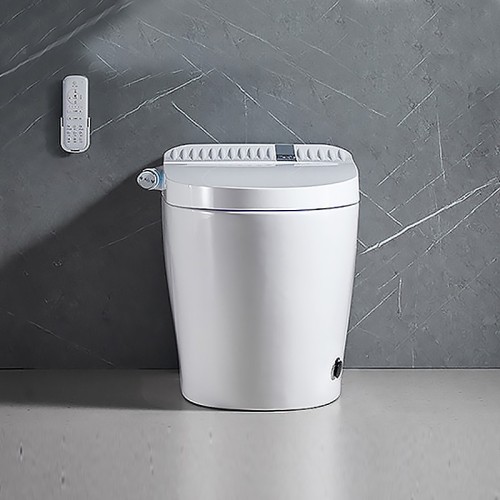 Water Efficient Toilet Bowl