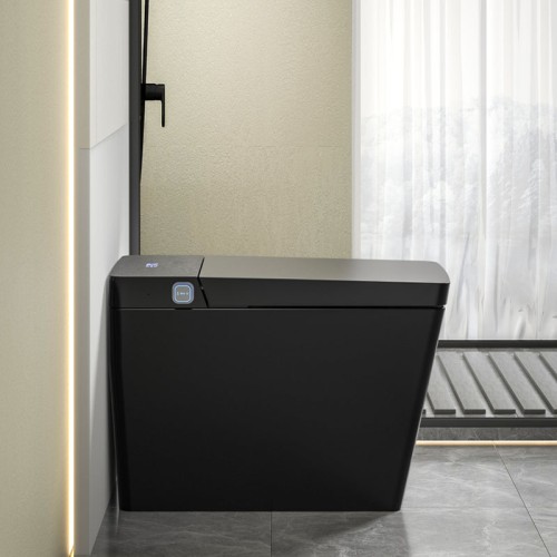 Black Tankless Toilet With Bidet