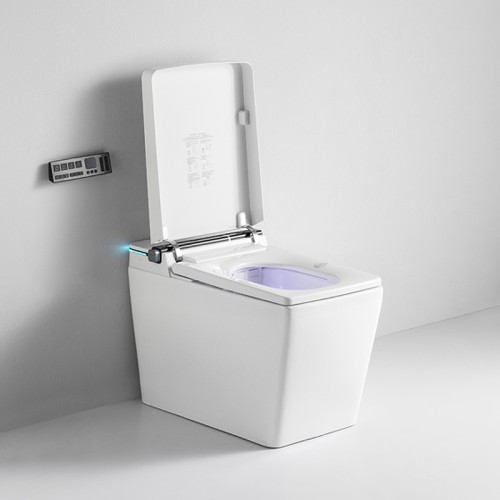 Intelligent Toilet with Automatic Cover