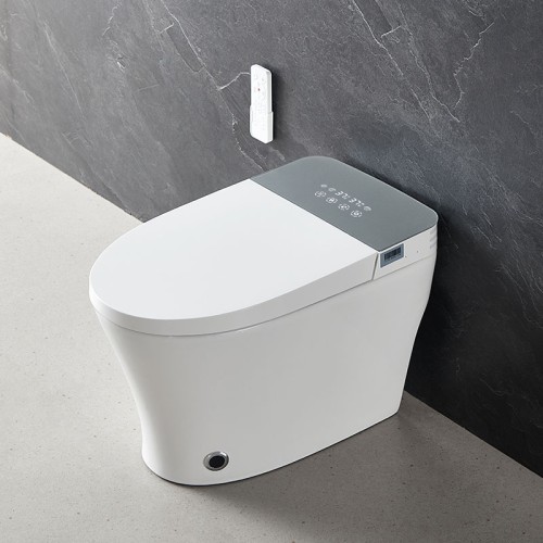 Stylish Streamline Toilet With Light 