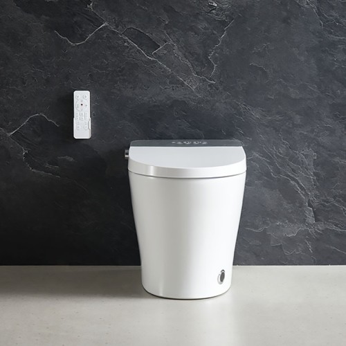 Stylish Streamline Toilet With Light