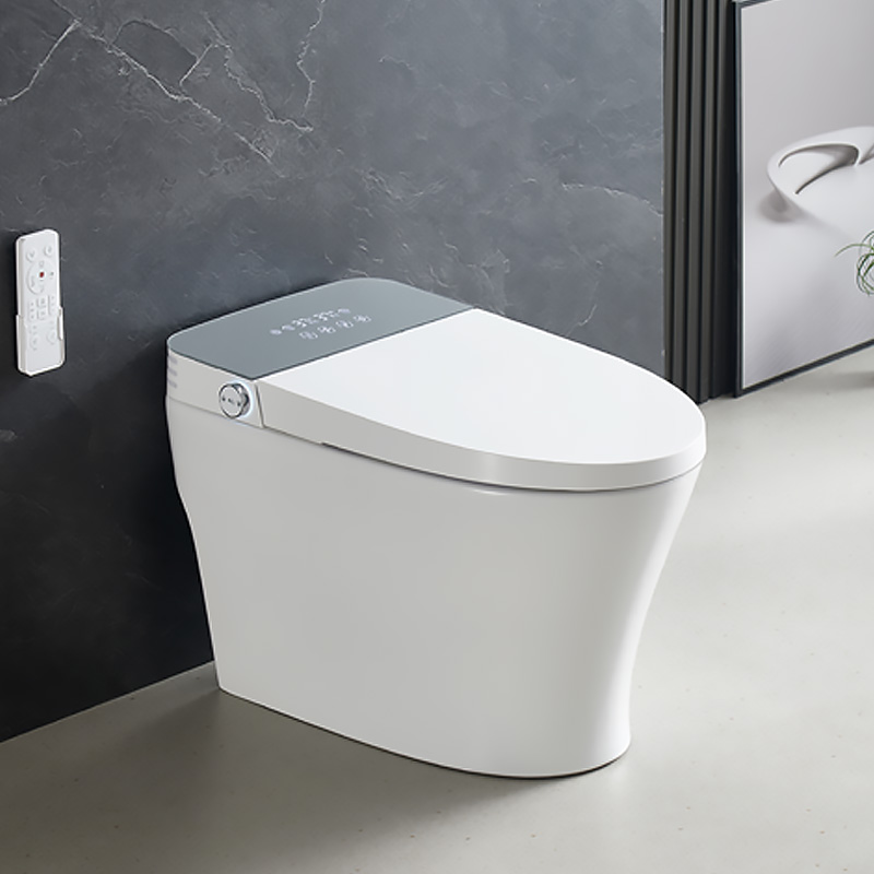 Stylish Streamline Toilet With Light