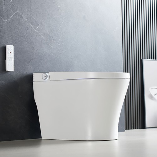 Stylish Streamline Toilet With Light