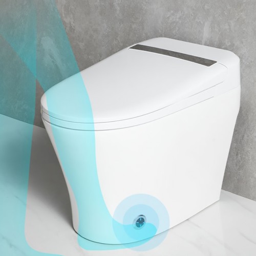 Modern Smart One Piece Bidet Toilet