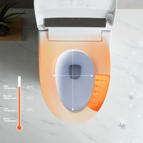 Modern Smart One Piece Bidet Toilet