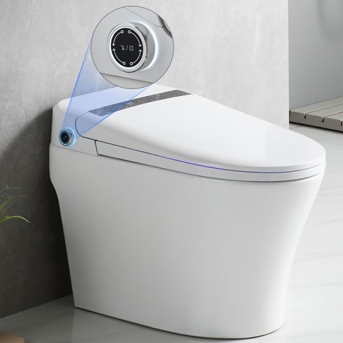 Modern Smart One Piece Bidet Toilet 