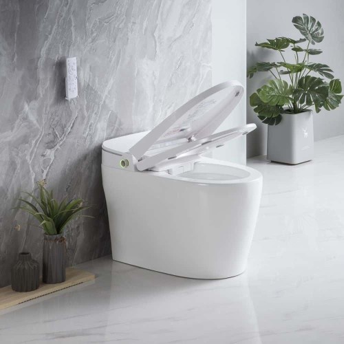 Smart One Piece Toilet 