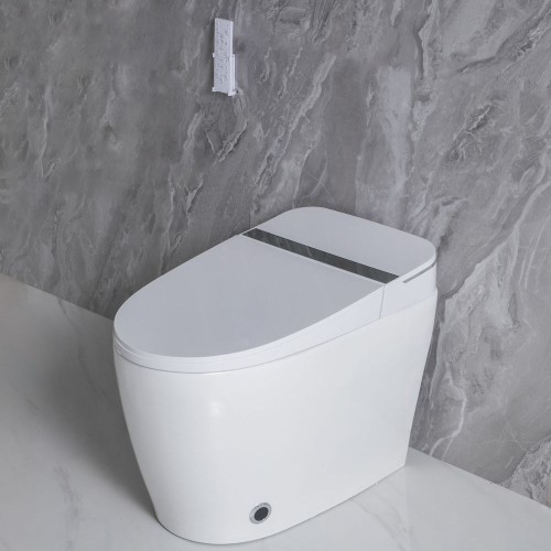 Smart One Piece Toilet