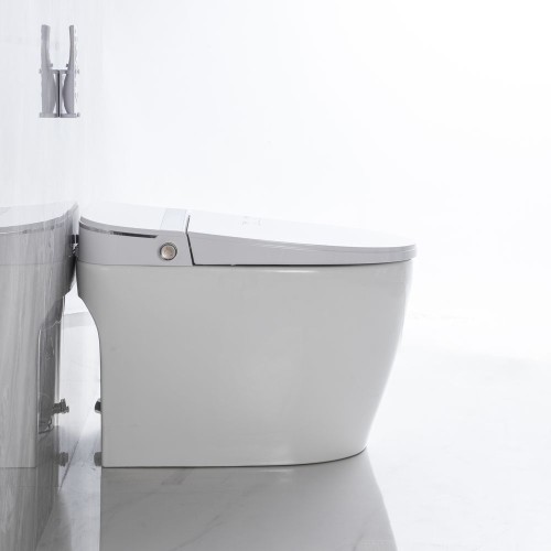 Smart One Piece Toilet