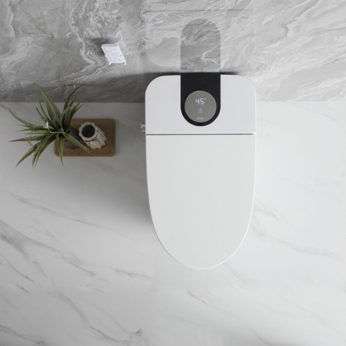 Floor Mounted Smart Toilet Bowl 