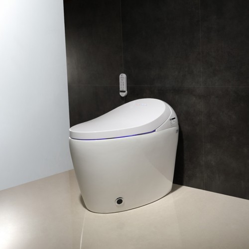 Luxury Design Hotel Smart Toilet