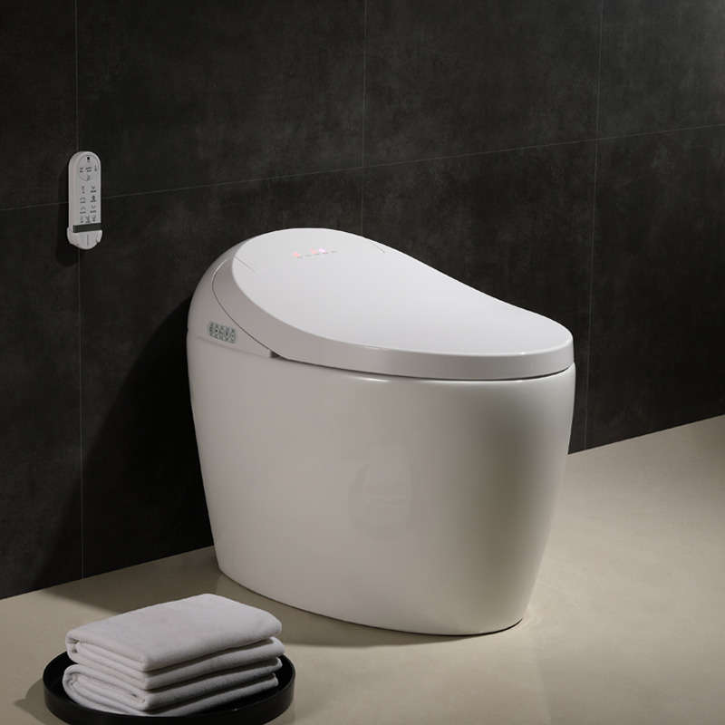 Luxury Design Hotel Smart Toilet