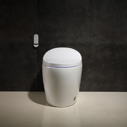 Luxury Design Hotel Smart Toilet