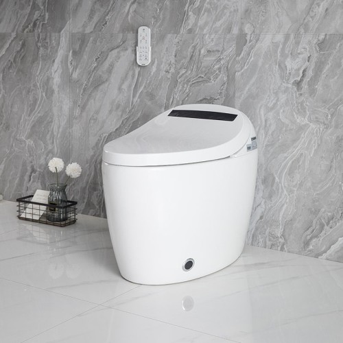 Compact Design Smart Toilet