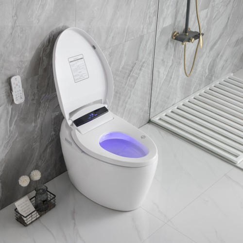 Compact Design Smart Toilet