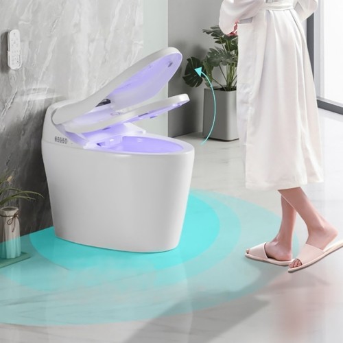 Bidet-Integrated Smart Toilet Supplier