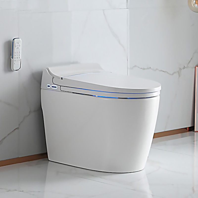 Bidet Toilet Australia| Australian Standard Toilet - Jabra Sanitary