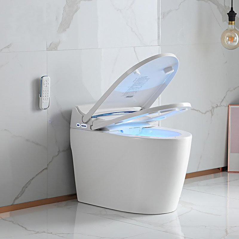 Bidet Toilet Australia| Australian Standard Toilet - Jabra Sanitary