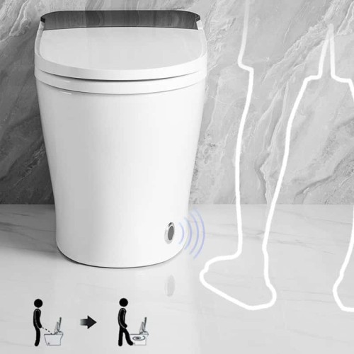 Modern Design Electric Smart Toilet