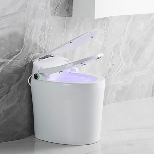 Free-standing Bidet Toilet for Small Bathroom