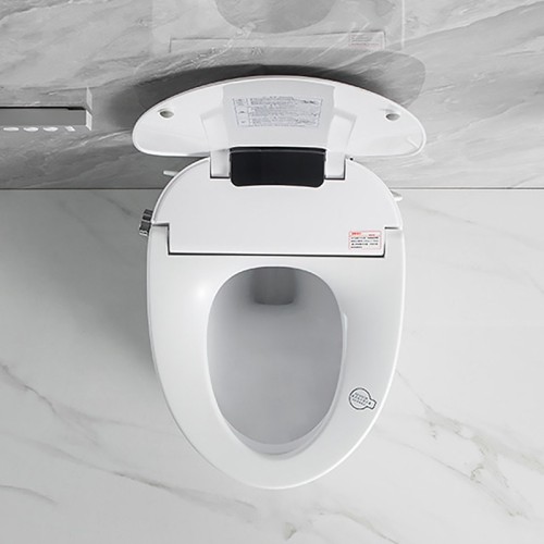 Free-standing Bidet Toilet for Small Bathroom