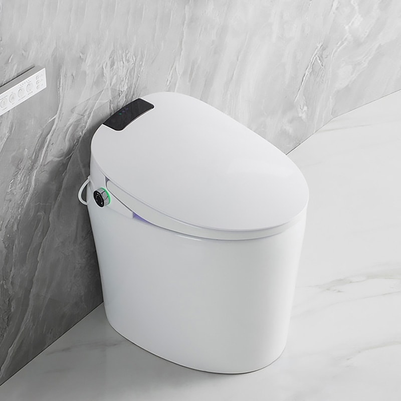 Free-standing Toilet for Small Bathroom