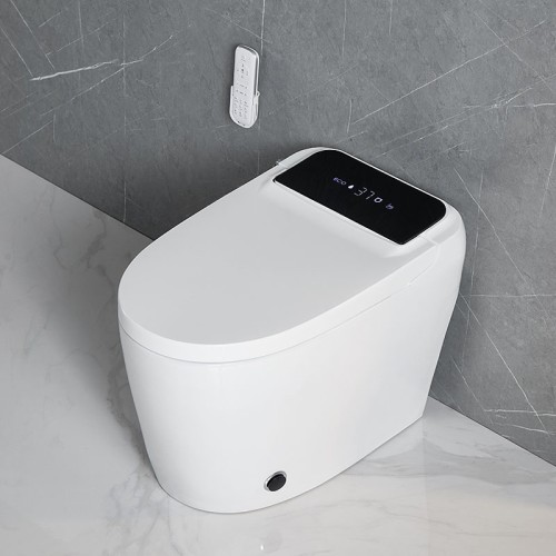 Advanced Japanese Bidet Toilet