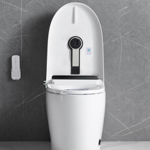 Advanced Toilet With Built-in Bidet