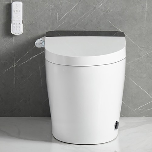 Remote Control Smart Toilet