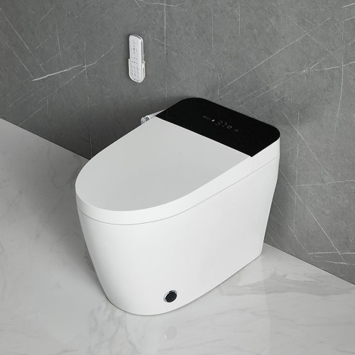 Remote Control Smart Toilet