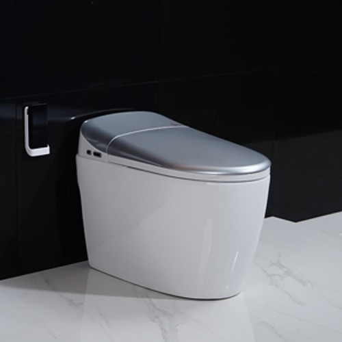 Bathroom Watermark Toilet with Dual Flush Valve