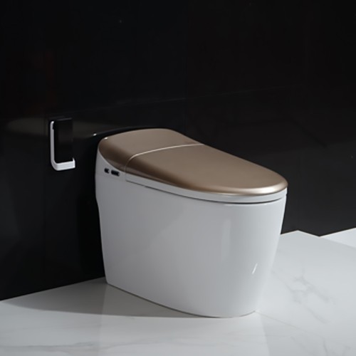 Bathroom Watermark Toilet with Dual Flush Valve