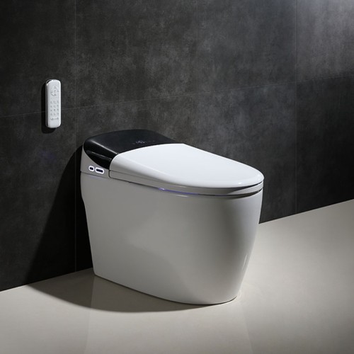 Bathroom Watermark Toilet with Dual Flush Valve