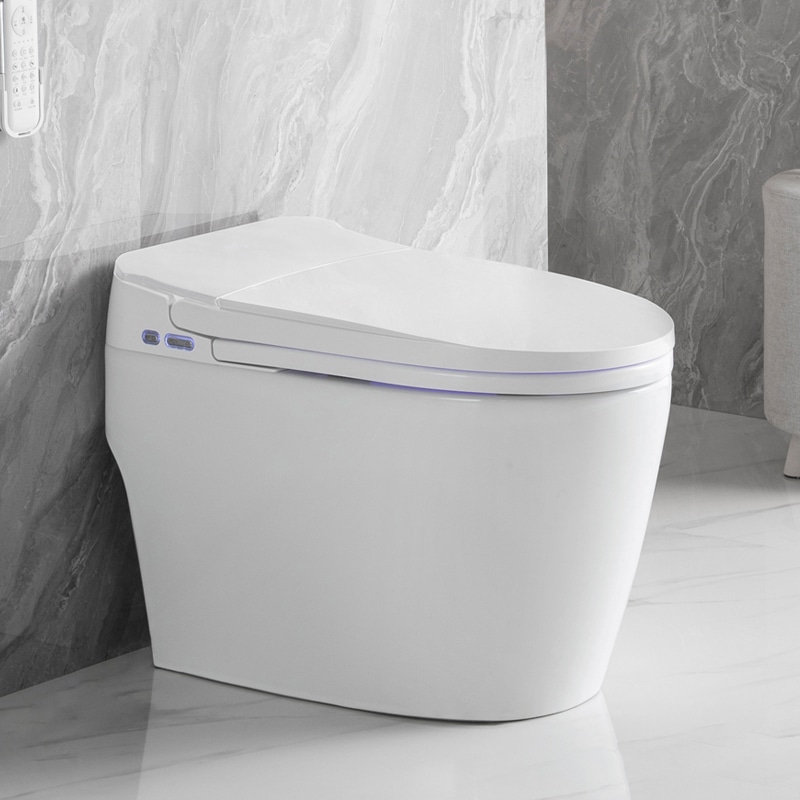 Luxury Electric Bidet Toilet