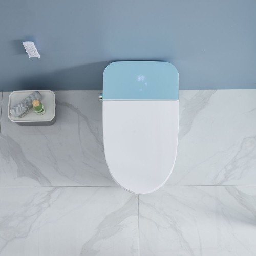 Antibacterial Intelligent Bidet Toilet