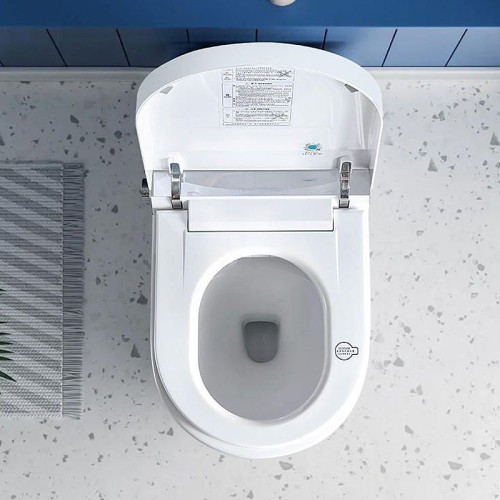 10 Rough in Smart Toilet One Piece