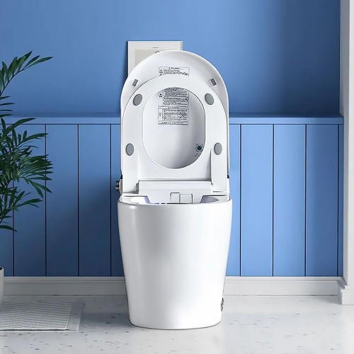 10 Rough in Smart Toilet One Piece