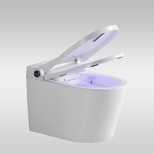 Smart Toilet With 10 Inch Rough In