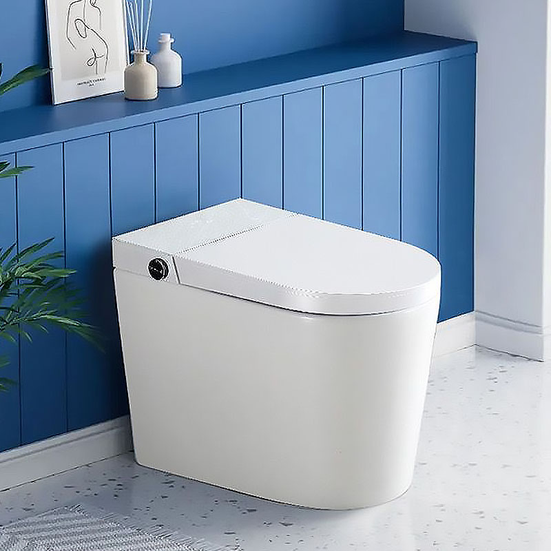 Smart Toilet With 10 Inch Rough In