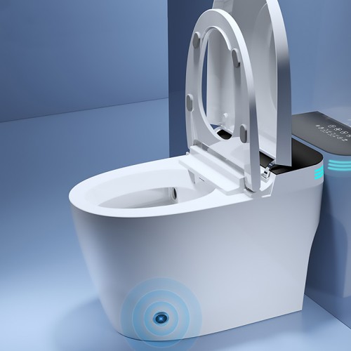 Comfort Height Toilet With Bidet