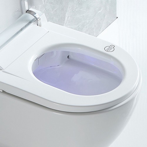 Hotel Round Smart Bidet Toilet Factory Price