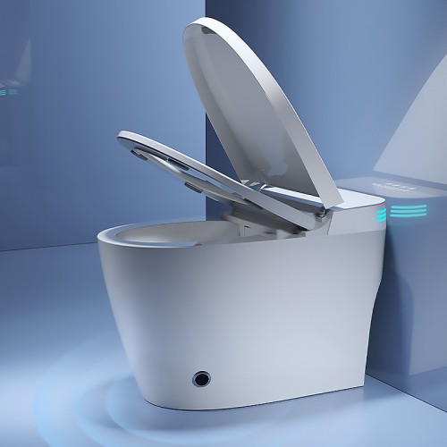 Compact Rimless Ergonomic Toilet Factory