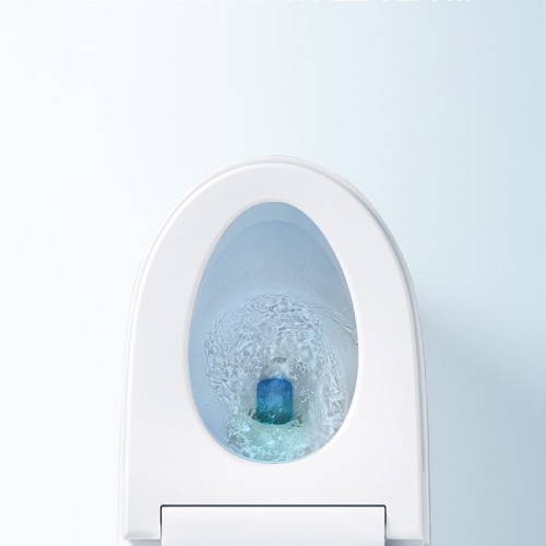 Compact Rimless Ergonomic Toilet Factory