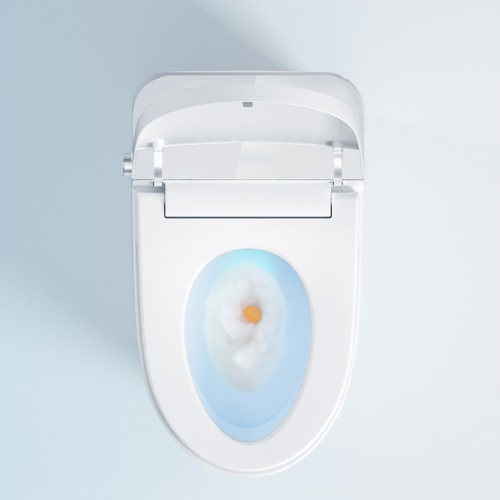 Compact Rimless Ergonomic Toilet Factory