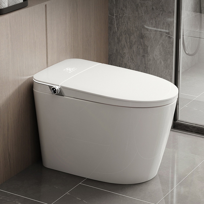 White & Grey Luxury Modern Smart Toilet